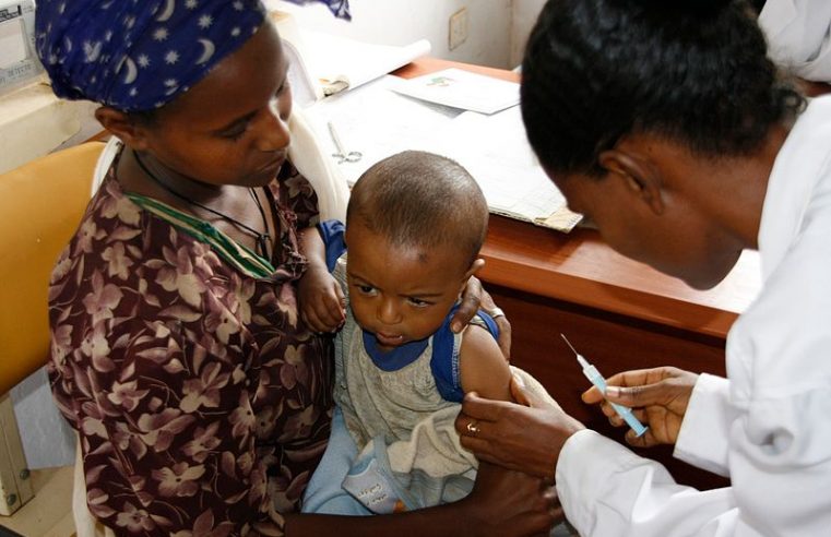 Malaria Vaccine Found