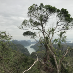 Screenshot 2025-12-08 at 12.08.07