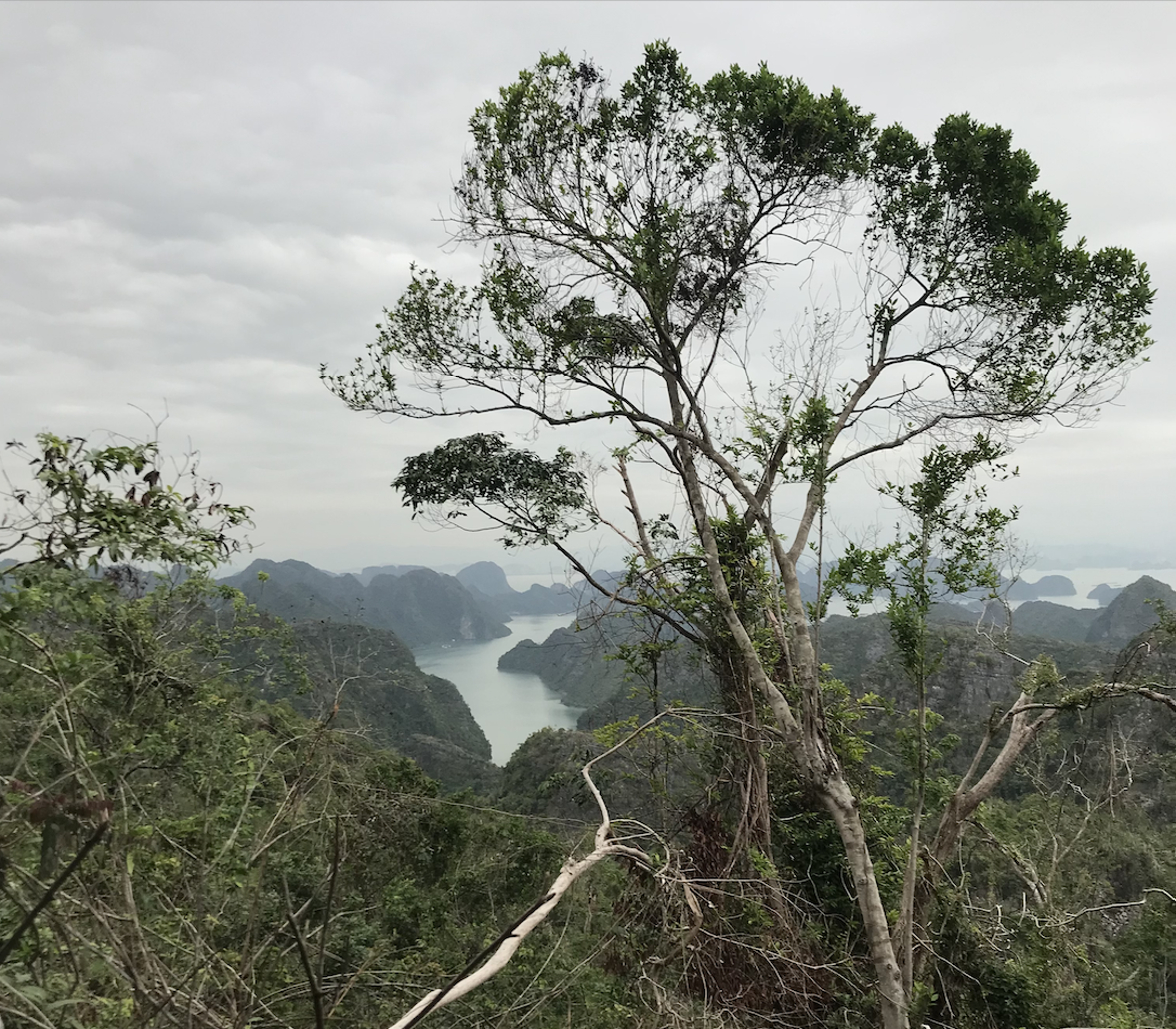 Climate mitigation is a selfish act